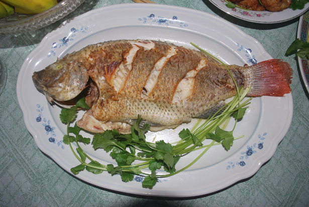 Cooked Fish