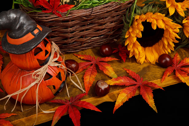 halloween-autumn-theme-11287576365WuEn.jpg
