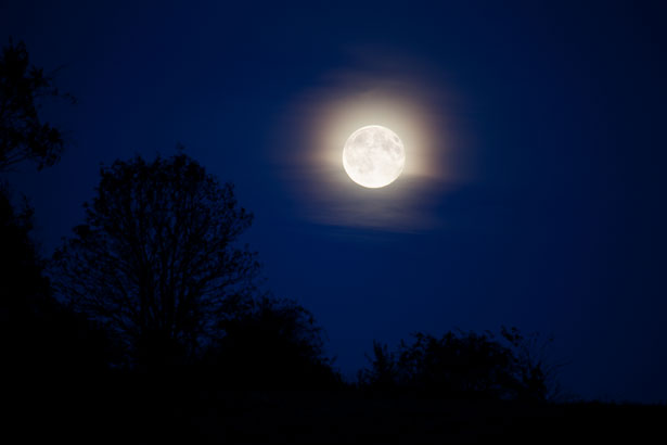 moonlight-landscape-11287160000RlIy.jpg (615×410)