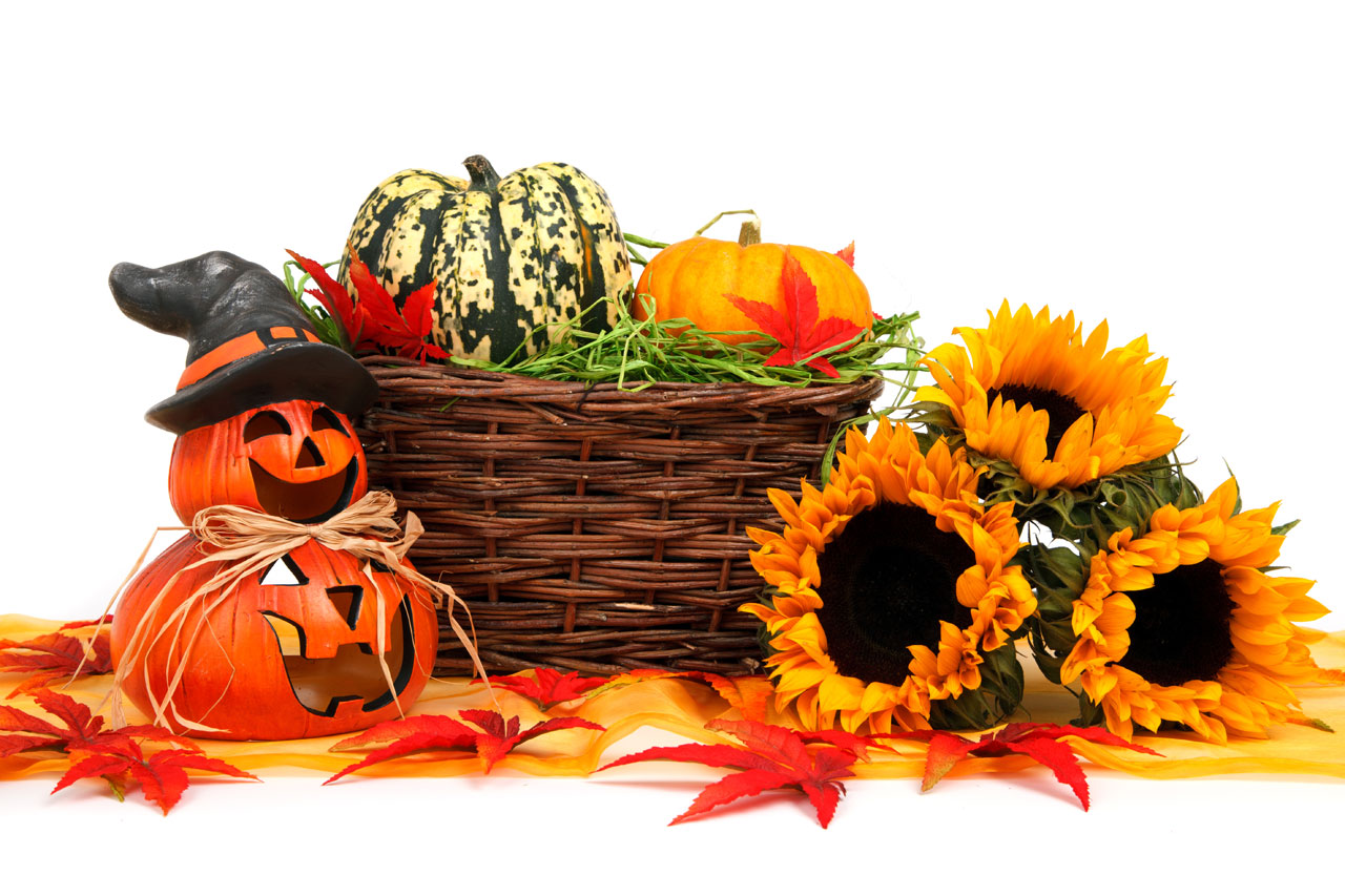 Halloween Harvest Decoration Free Stock Photo - Public Domain Pictures