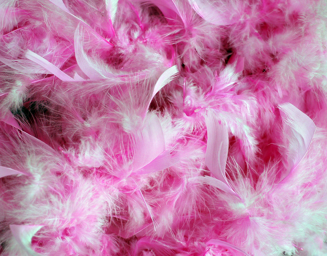 Pink Fears Background Free Stock Photo HD   Public Domain Pictures