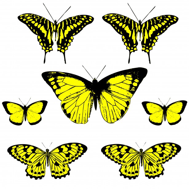 free yellow butterfly clip art - photo #21