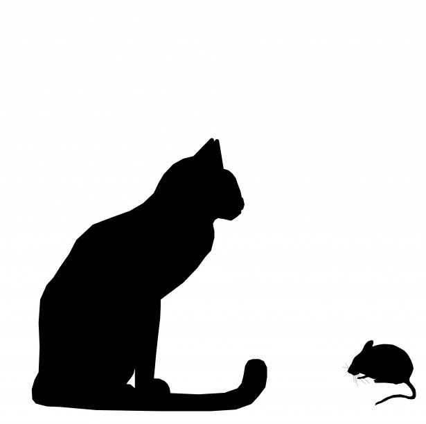 clipart cat and mouse - photo #39