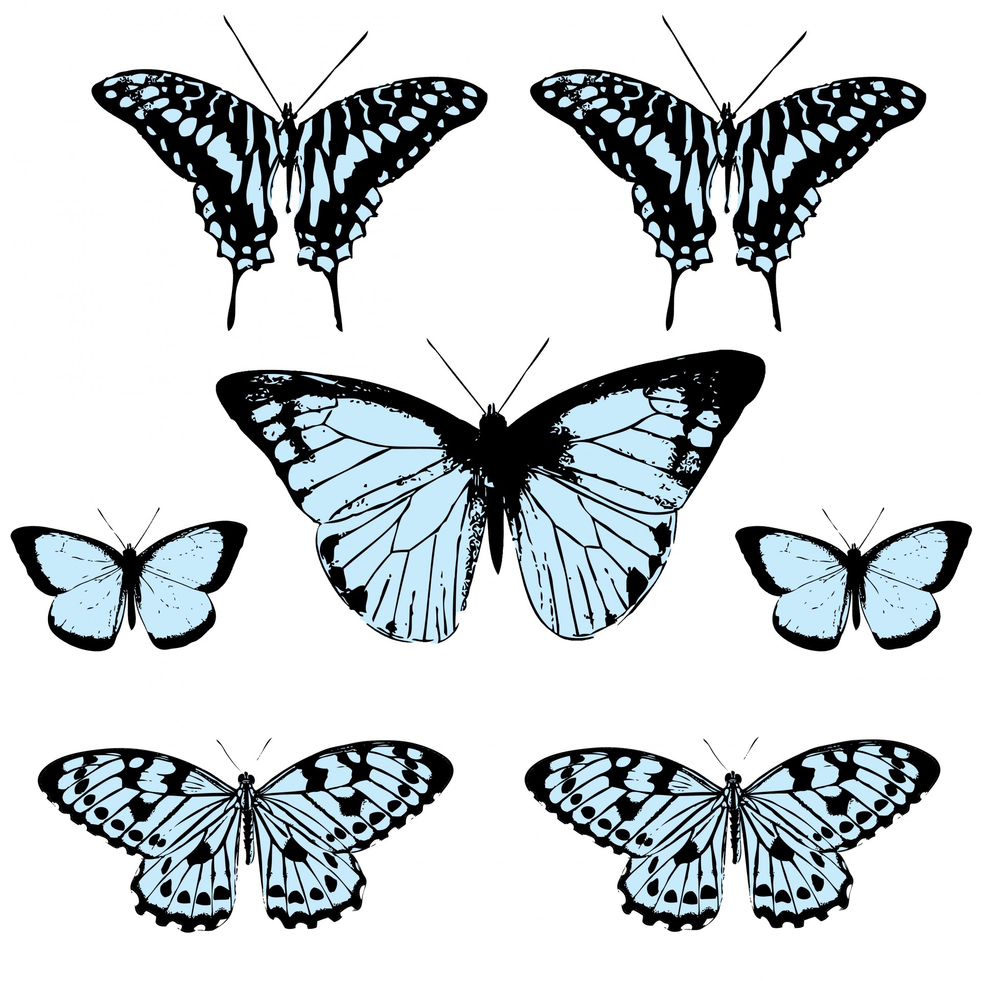 free clip art butterfly net - photo #45