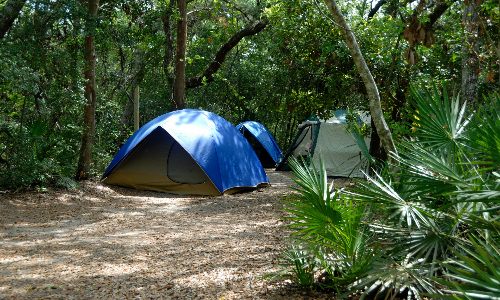 Camping tour hotelCamping price