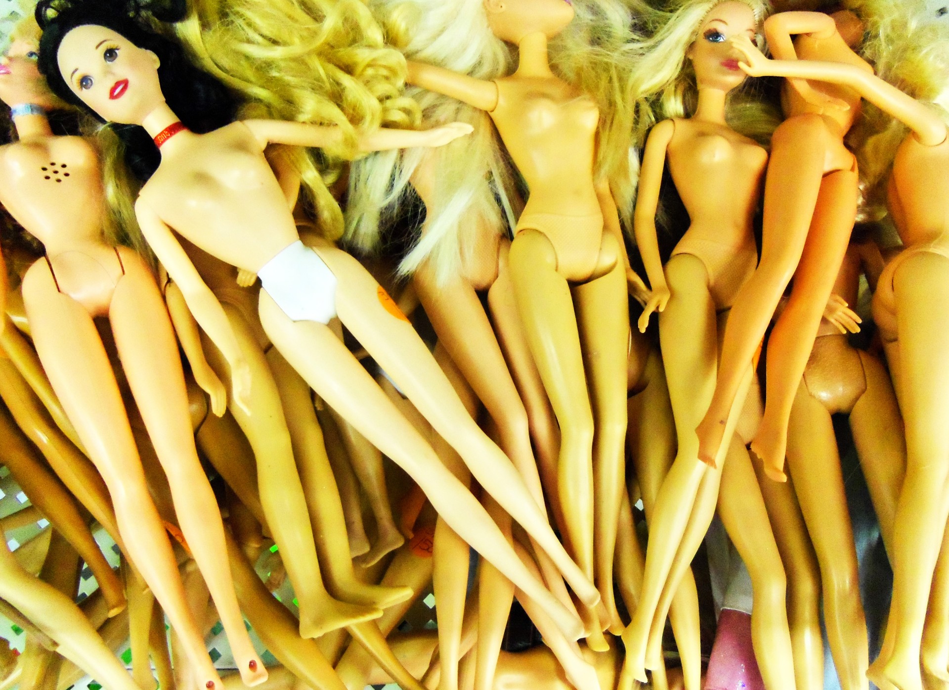 A Bevy Of Barbies