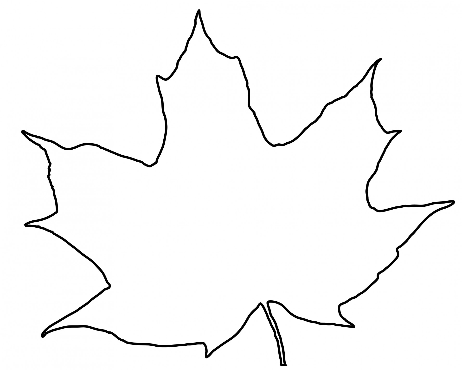 Leaf Outline Free Stock Photo - Public Domain Pictures