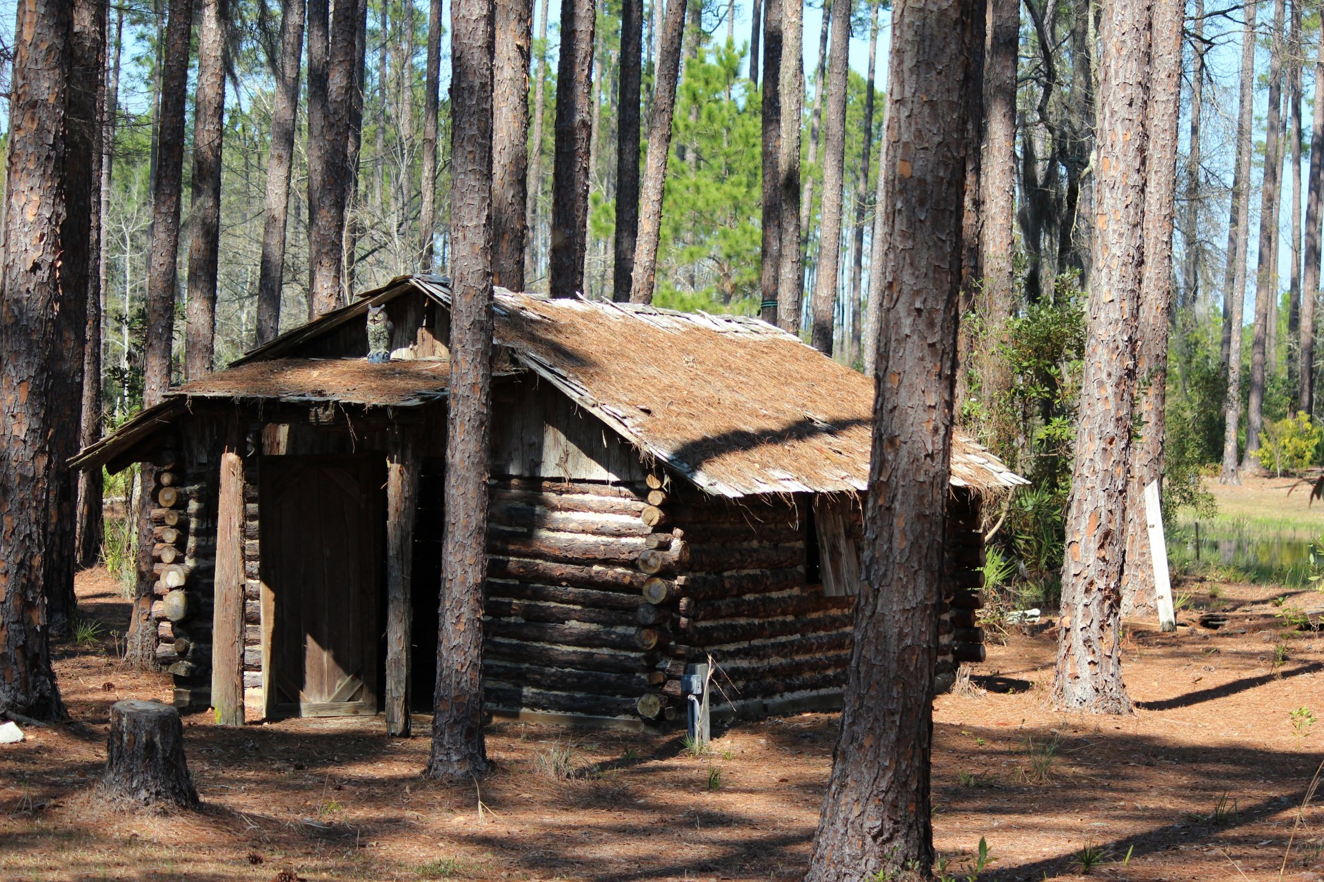 Log Cabin Free Stock Photo - Public Domain Pictures