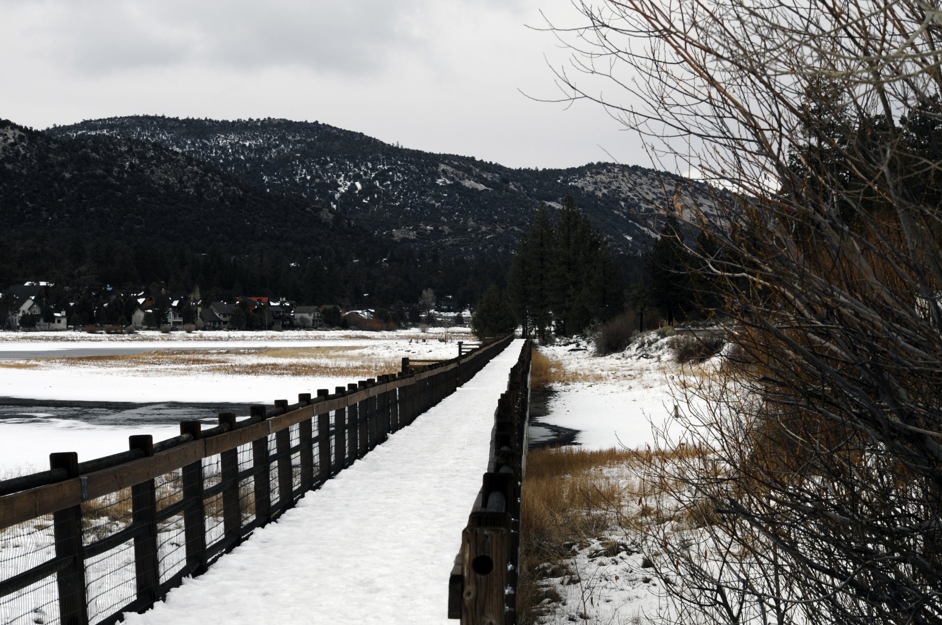Snow Covered Bridge