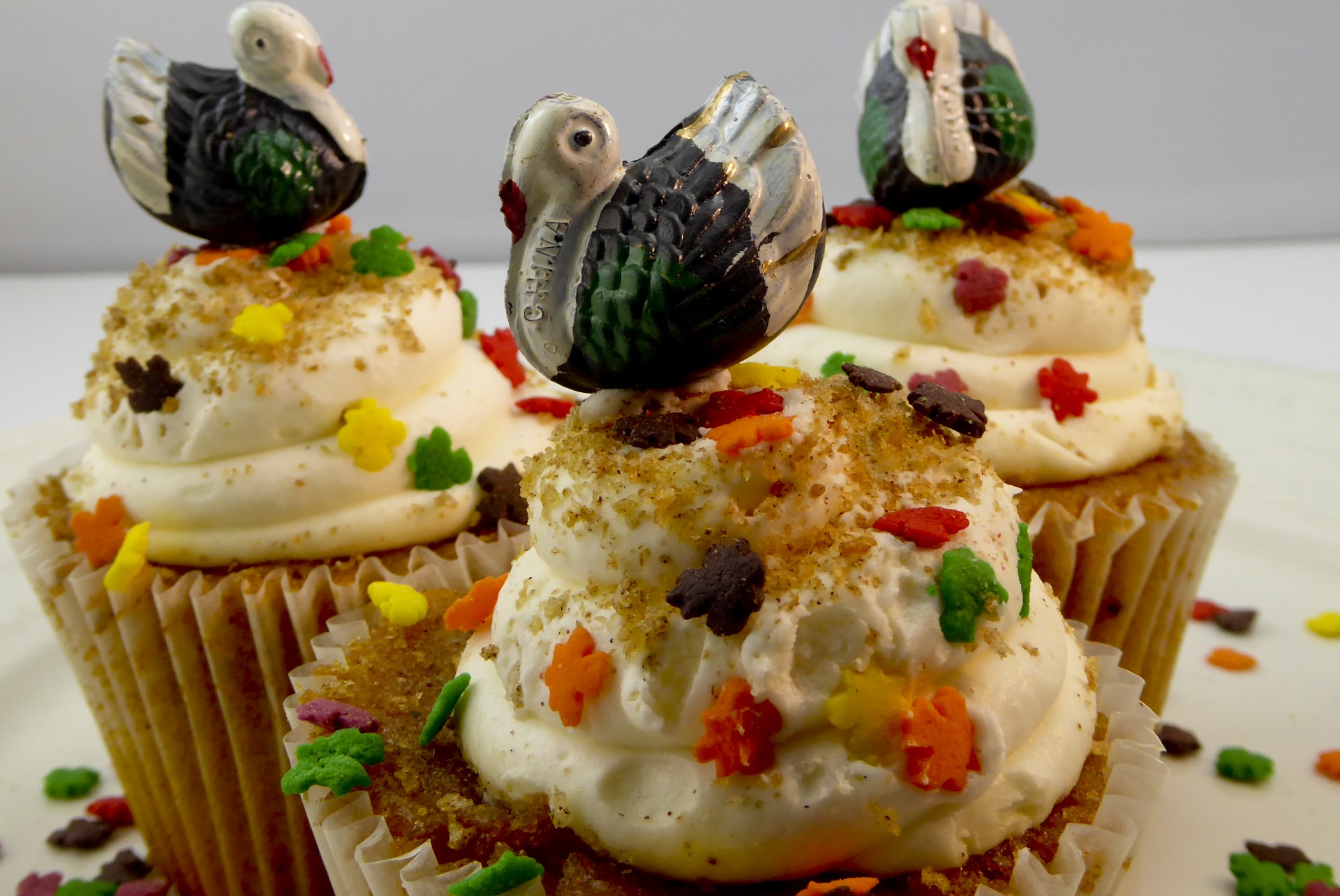 Thanksgiving Turkey Cupcakes Free Stock Photo - Public Domain Pictures