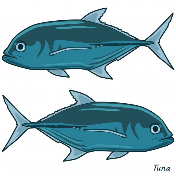 tuna fish clip art free - photo #2