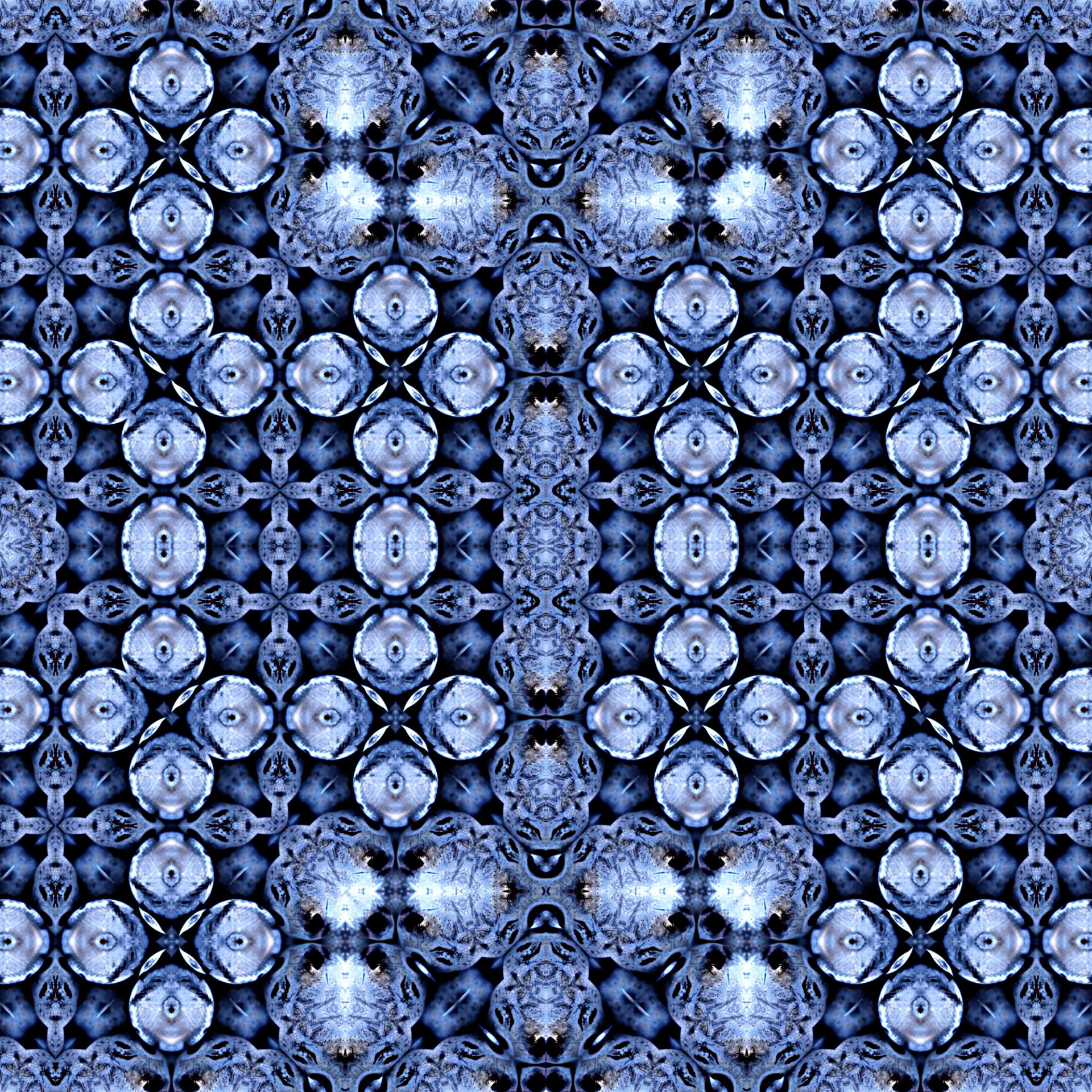 Background Blueberry (2)