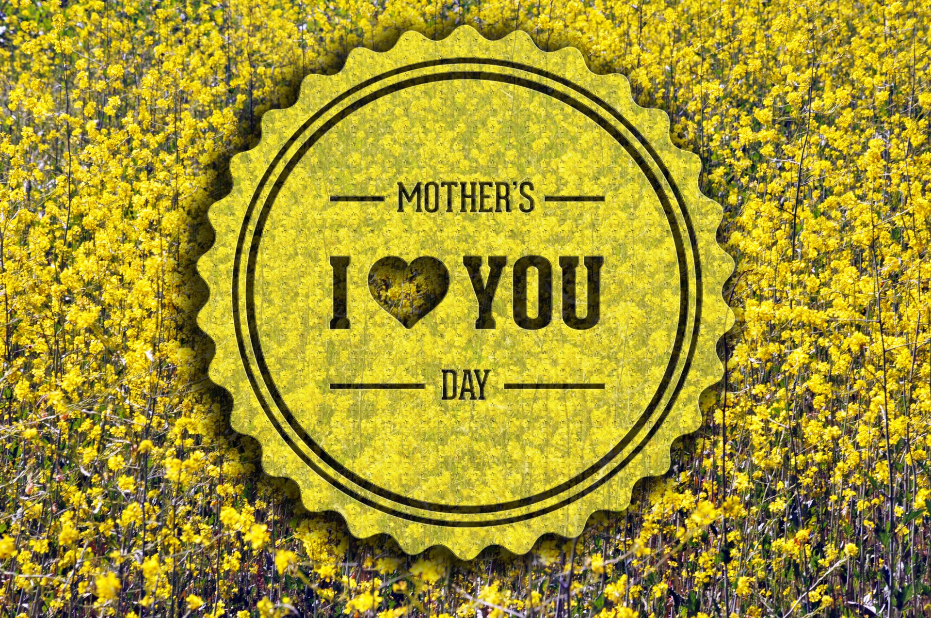 Happy Mother's Day Card Free Stock Photo Public Domain Pictures
