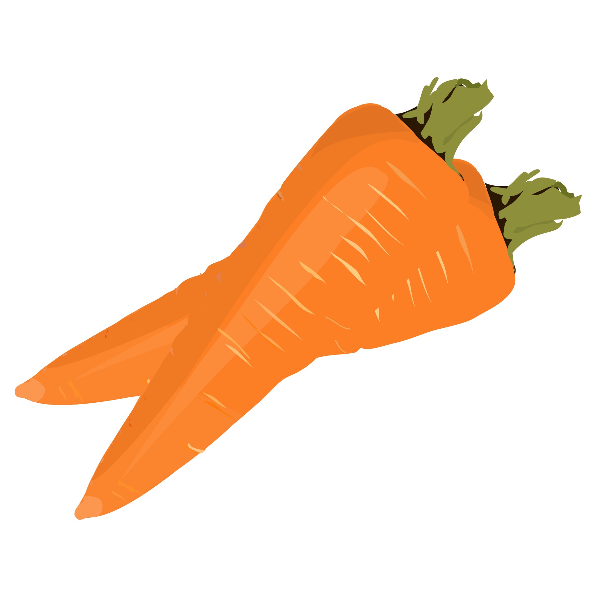 clipart carrots free - photo #37