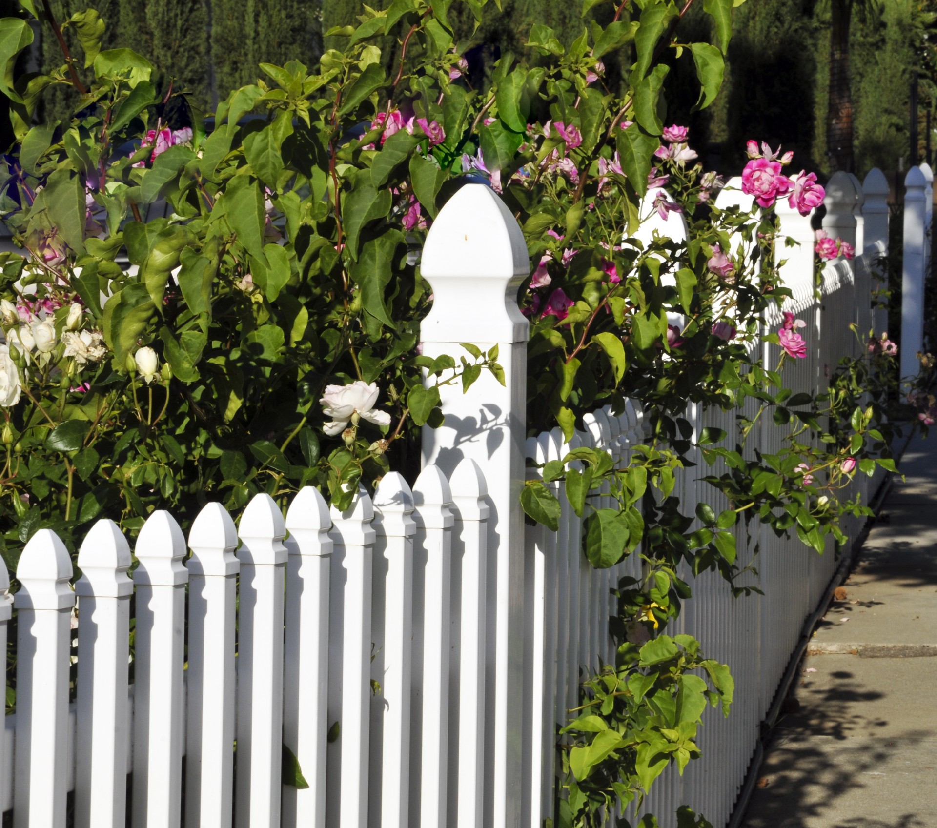 White Picket Fence Free Stock Photo - Public Domain Pictures