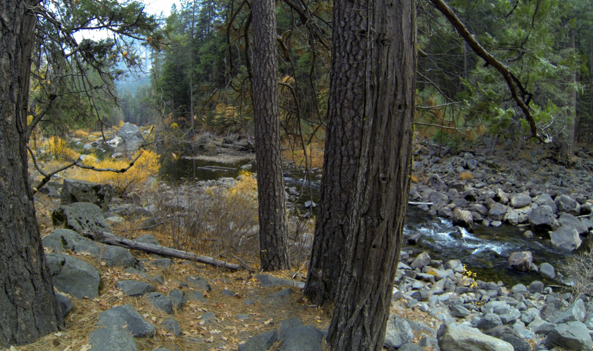 Yosemite Stream #2