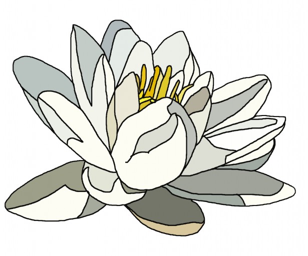 clipart water lily - photo #17