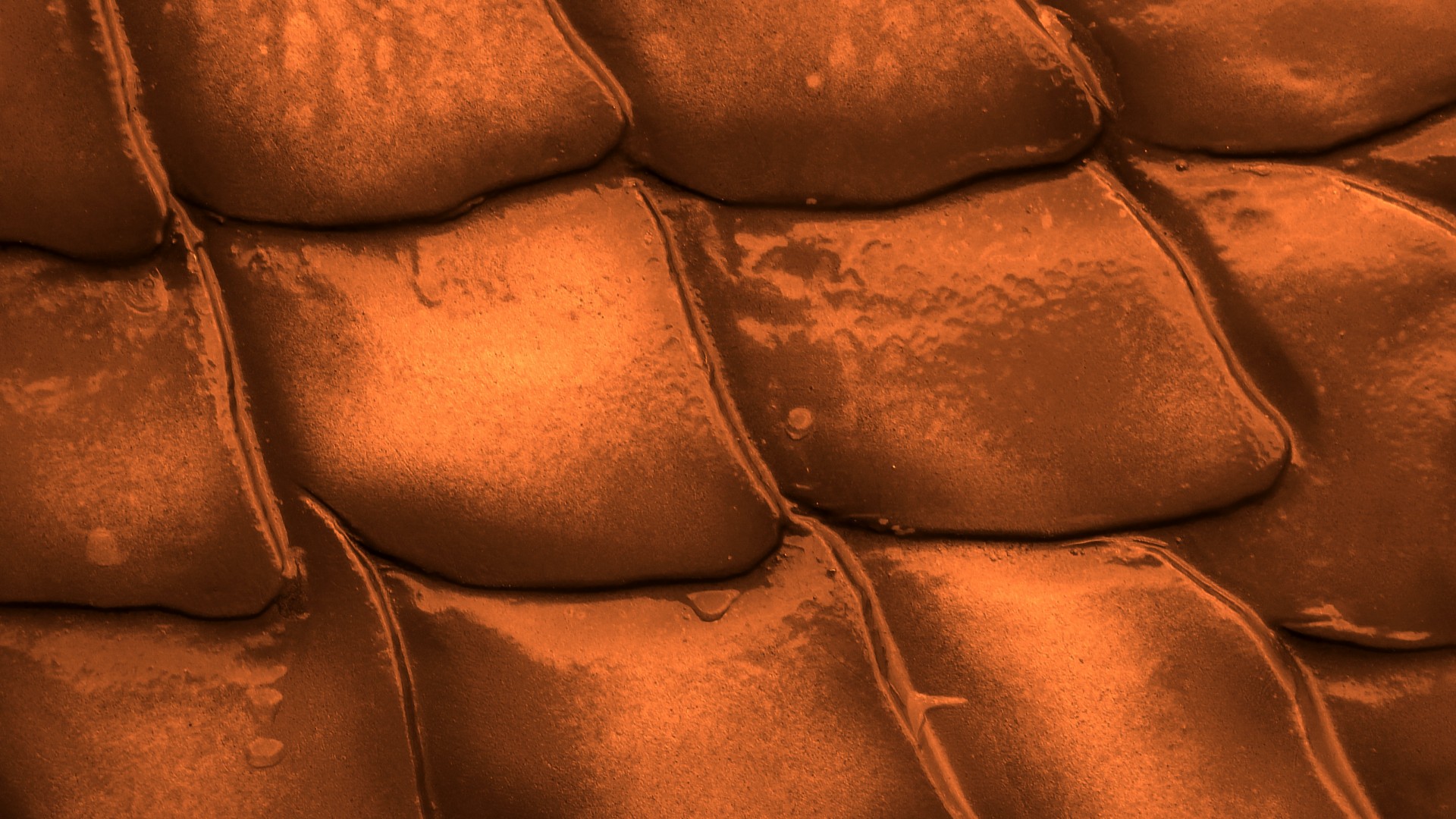 Brown Scales Pattern Background