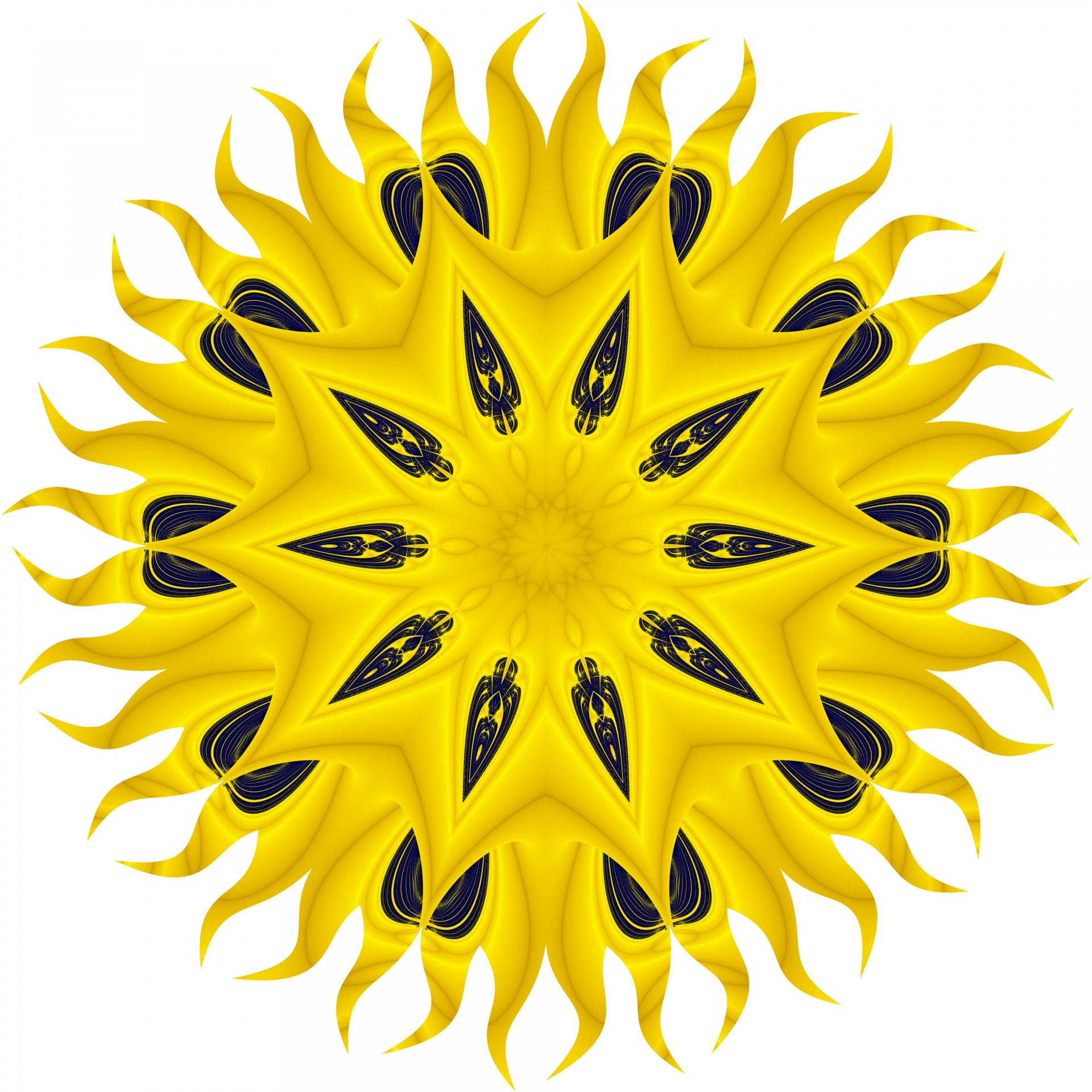Dark Seed Sunflower