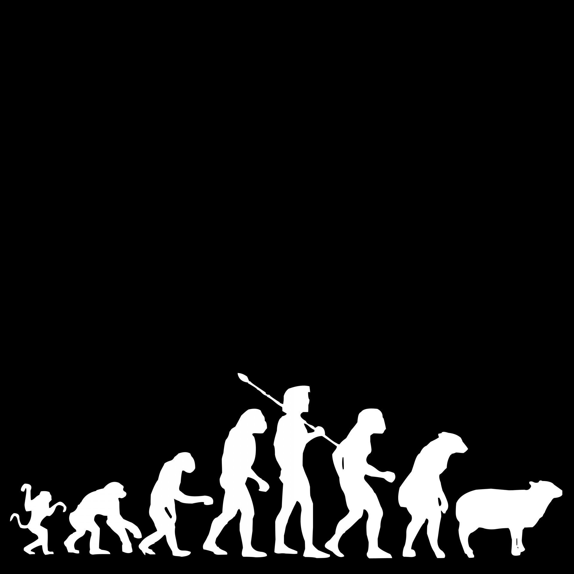 Theory Of Evolution