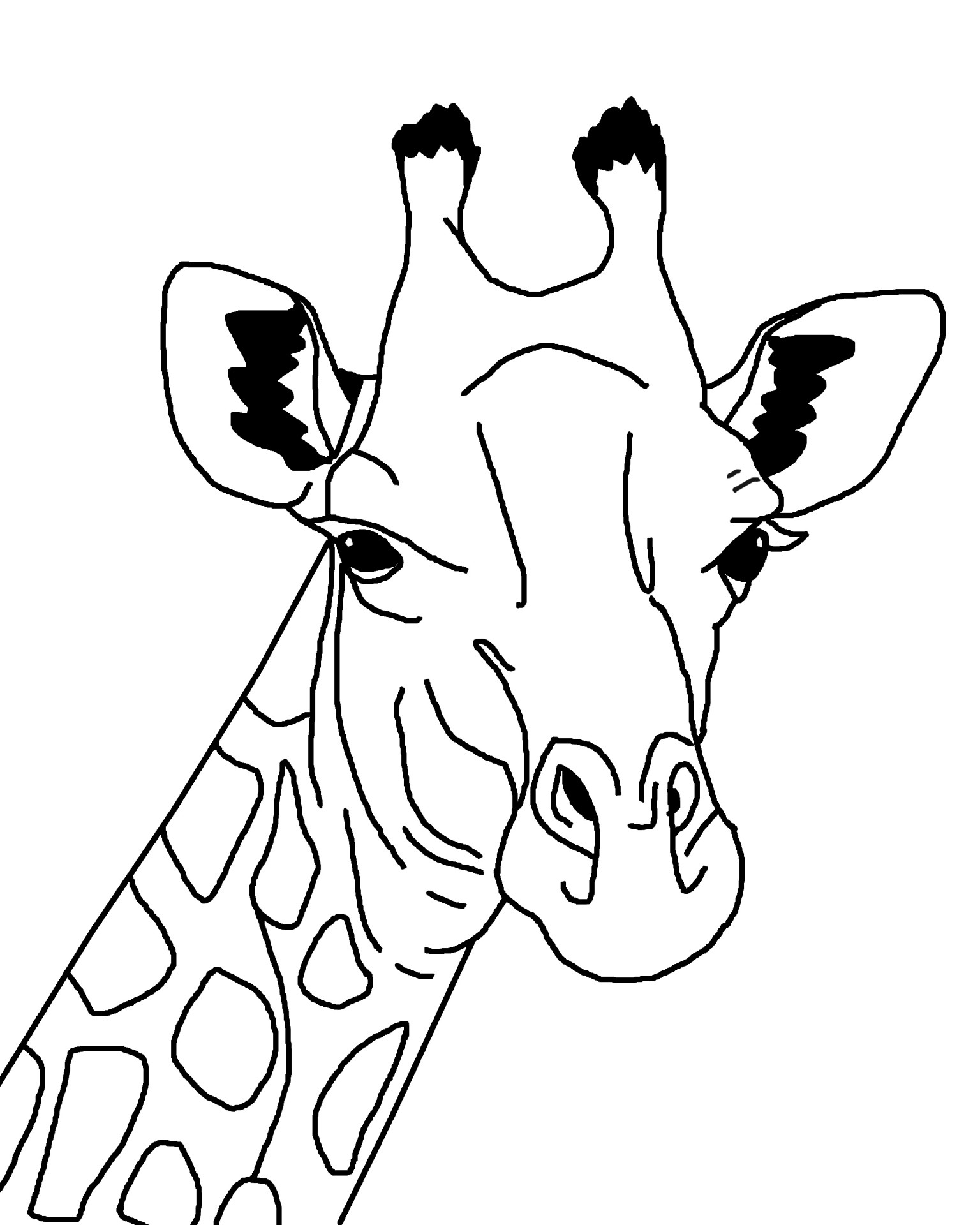 Giraffe Outline Illustration Free Stock Photo - Public ... - photo#3