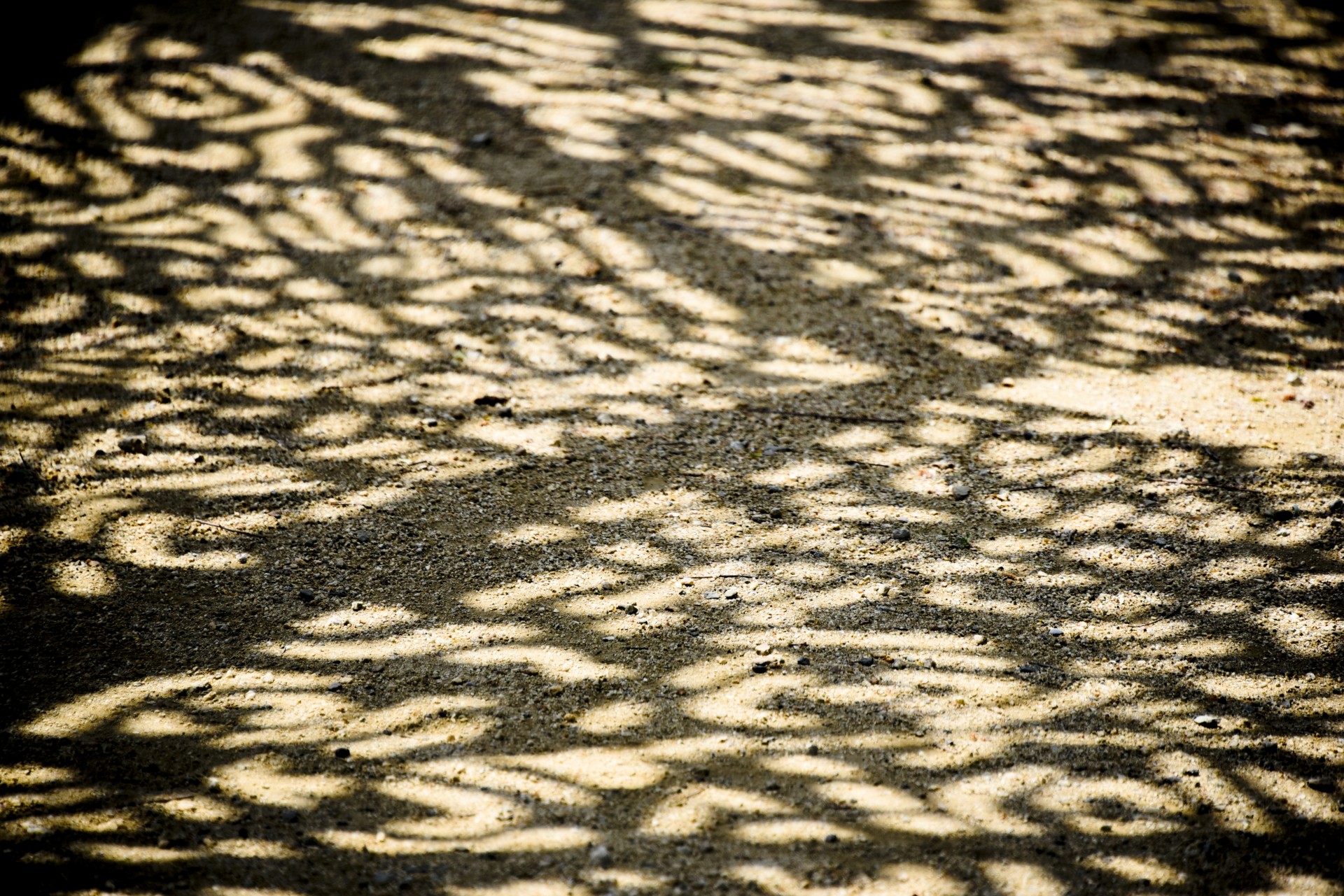 Patterns In Shadow