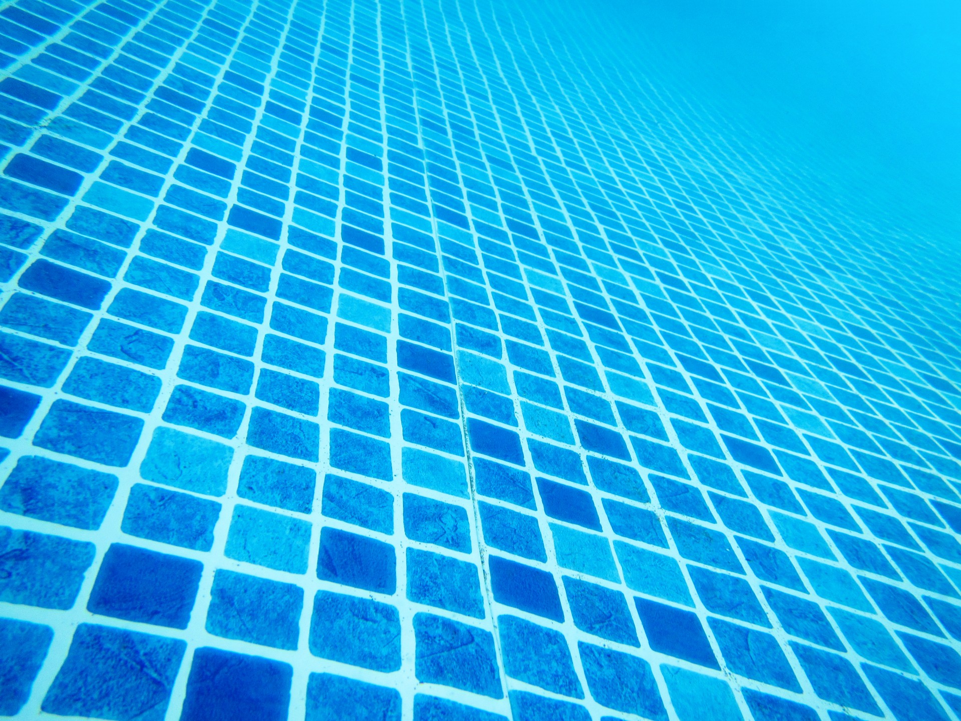 Swimming Pool Bottom Free Stock Photo Public Domain Pictures