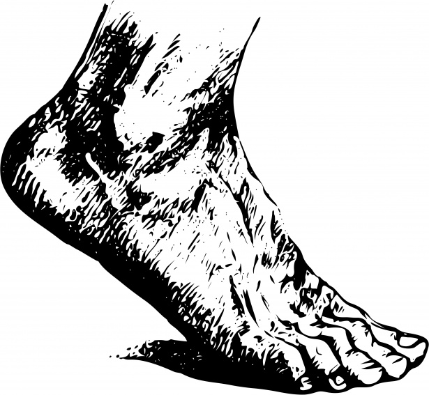 clipart human foot - photo #12