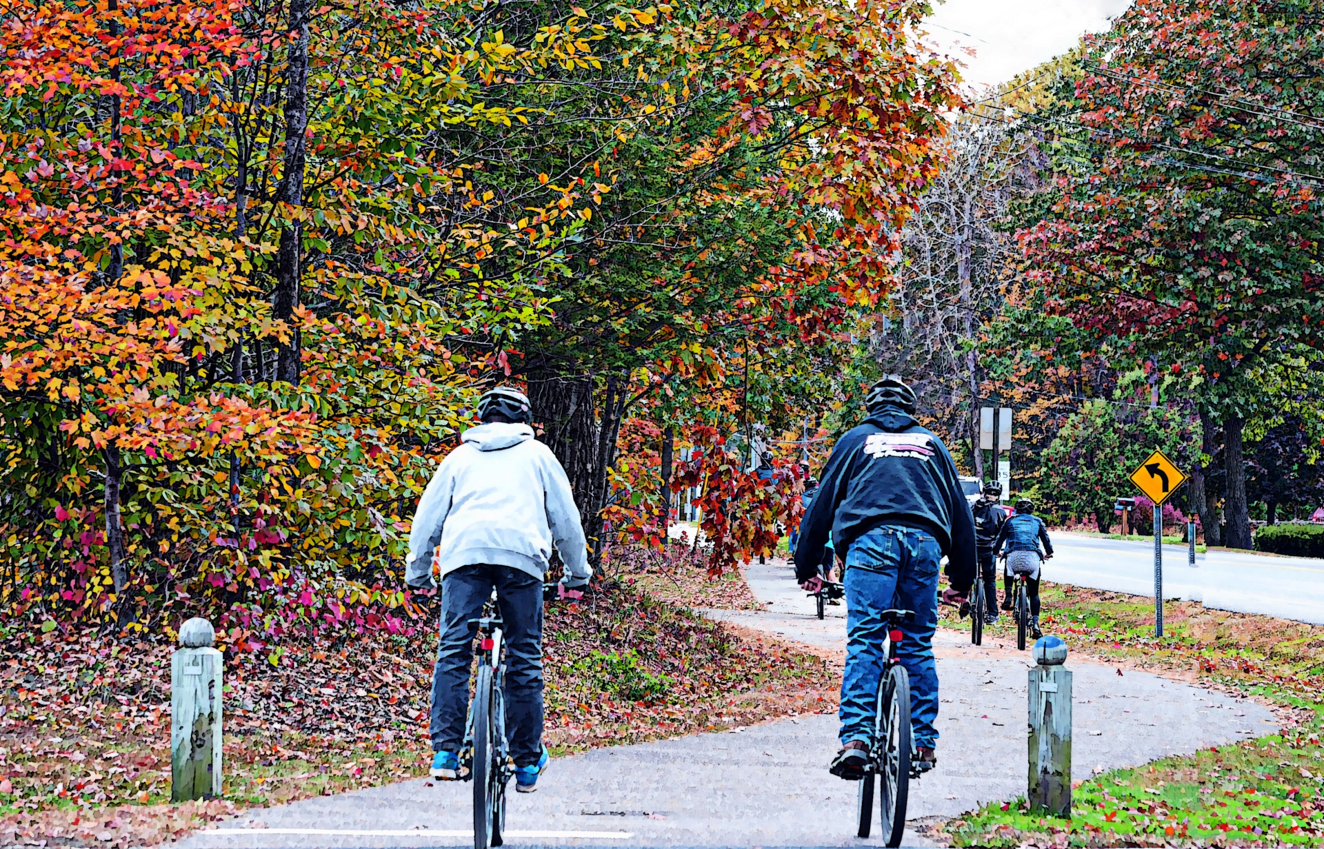 bicycling-in-the-fall-free-stock-photo-public-domain-pictures