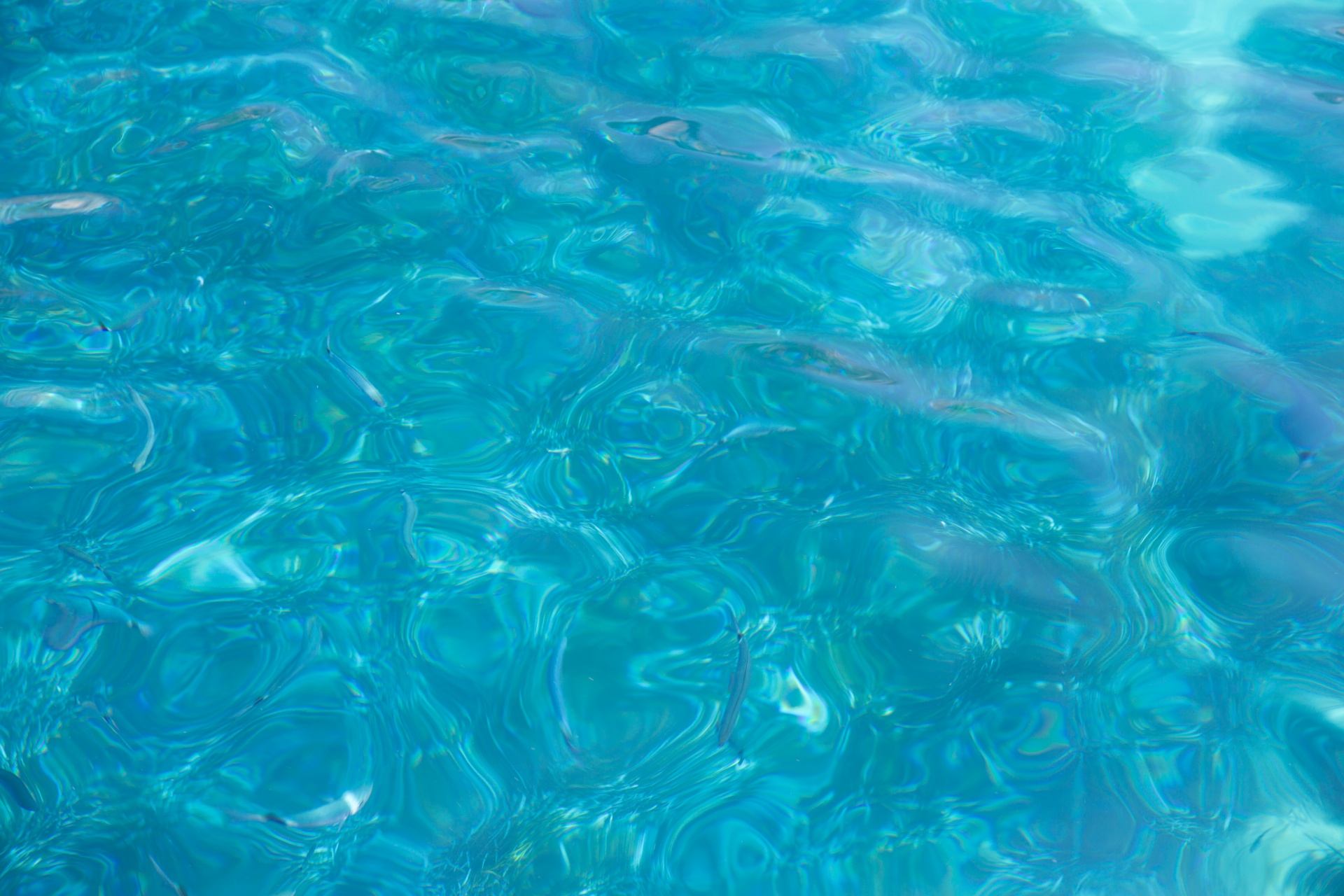 Blue Water Pattern Free Stock Photo - Public Domain Pictures
 Ocean Water Pattern
