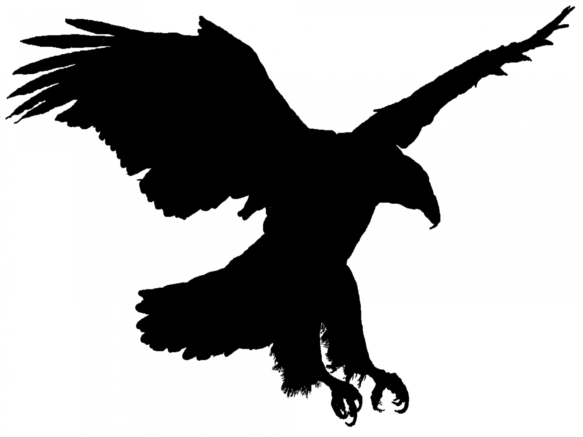eagle silhouette clip art free - photo #27
