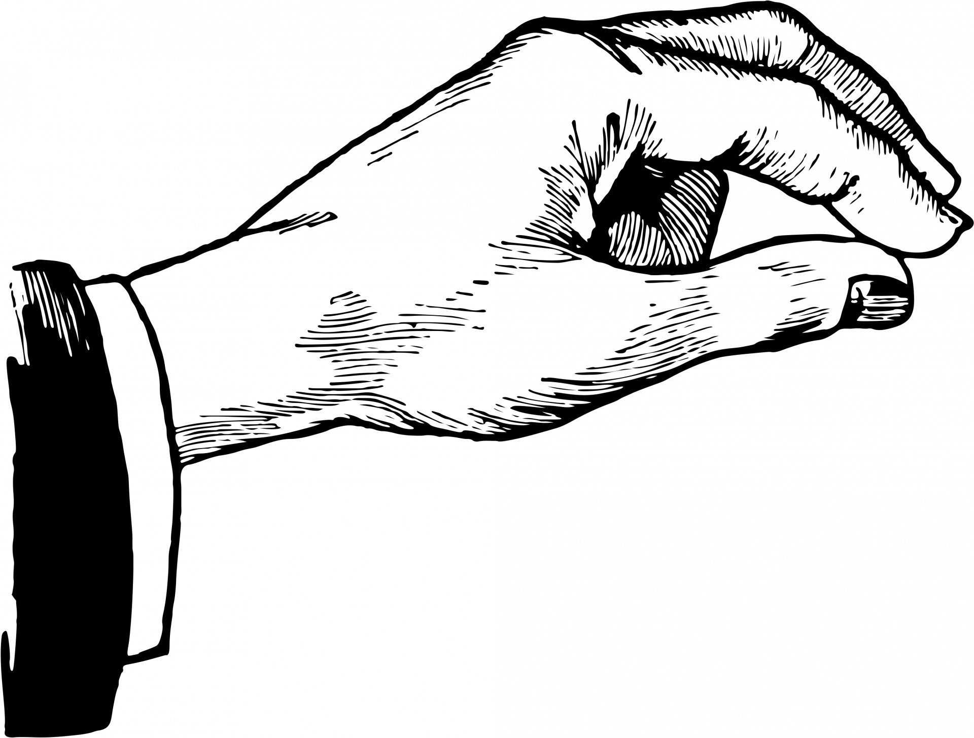clipart of human hand - photo #5