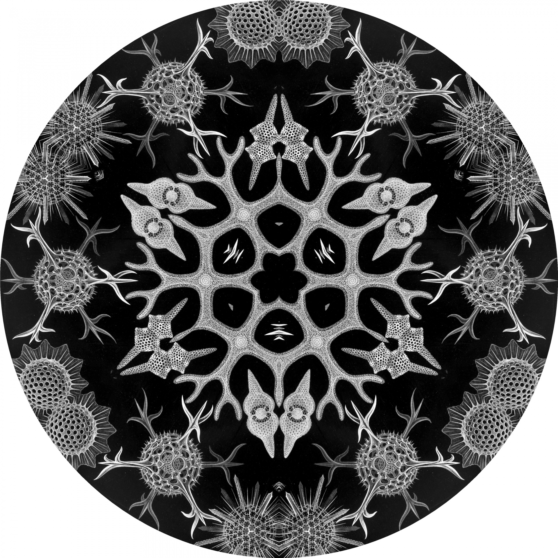 snowflake-circle-ii-free-stock-photo-public-domain-pictures