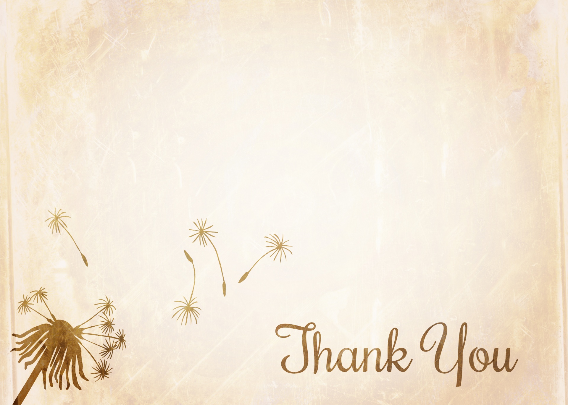 thank-you-wallpaper-free-stock-photo-public-domain-pictures-images