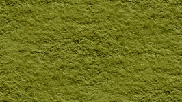 Olive Seamless Wall Background