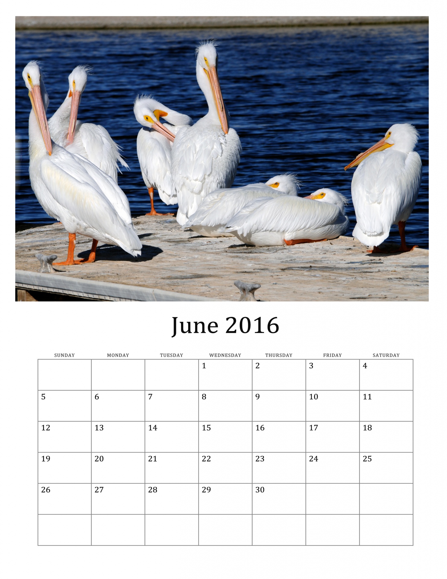 2016-june-monthly-calendar-free-stock-photo-public-domain-pictures
