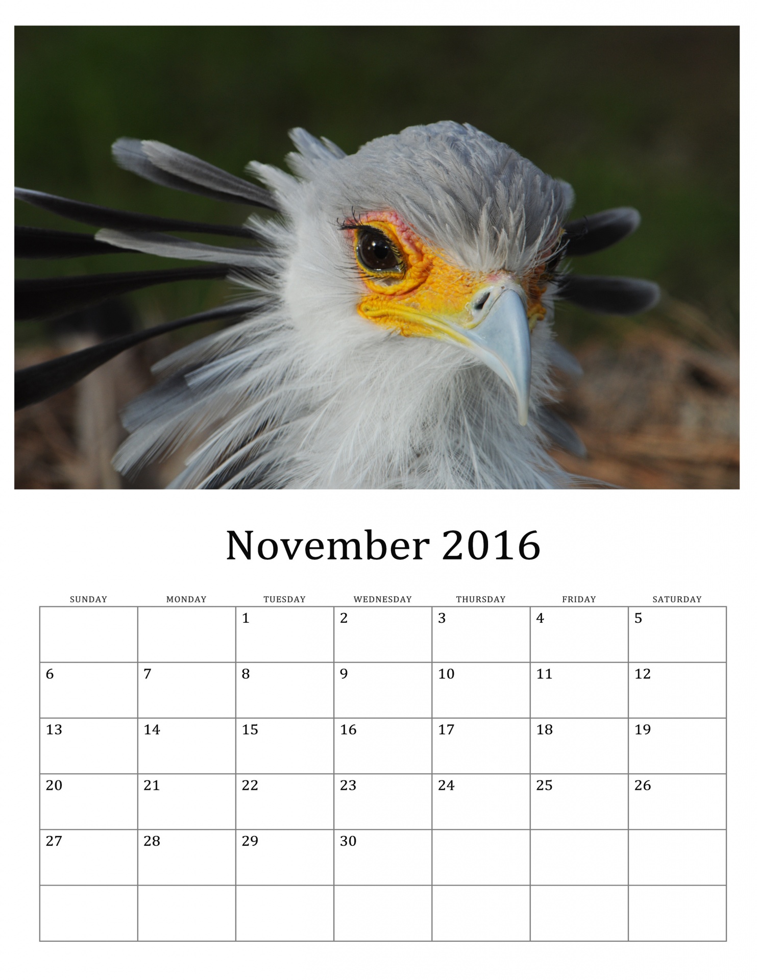 november-2016-grunge-calendar-free-stock-photo-public-domain-pictures
