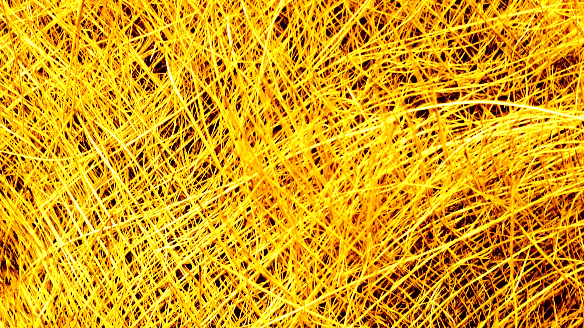 Yellow Colored Straw Background