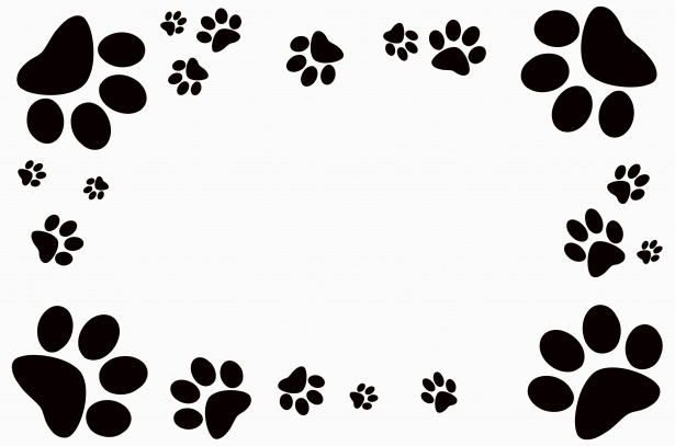 dog footprints clip art - photo #18