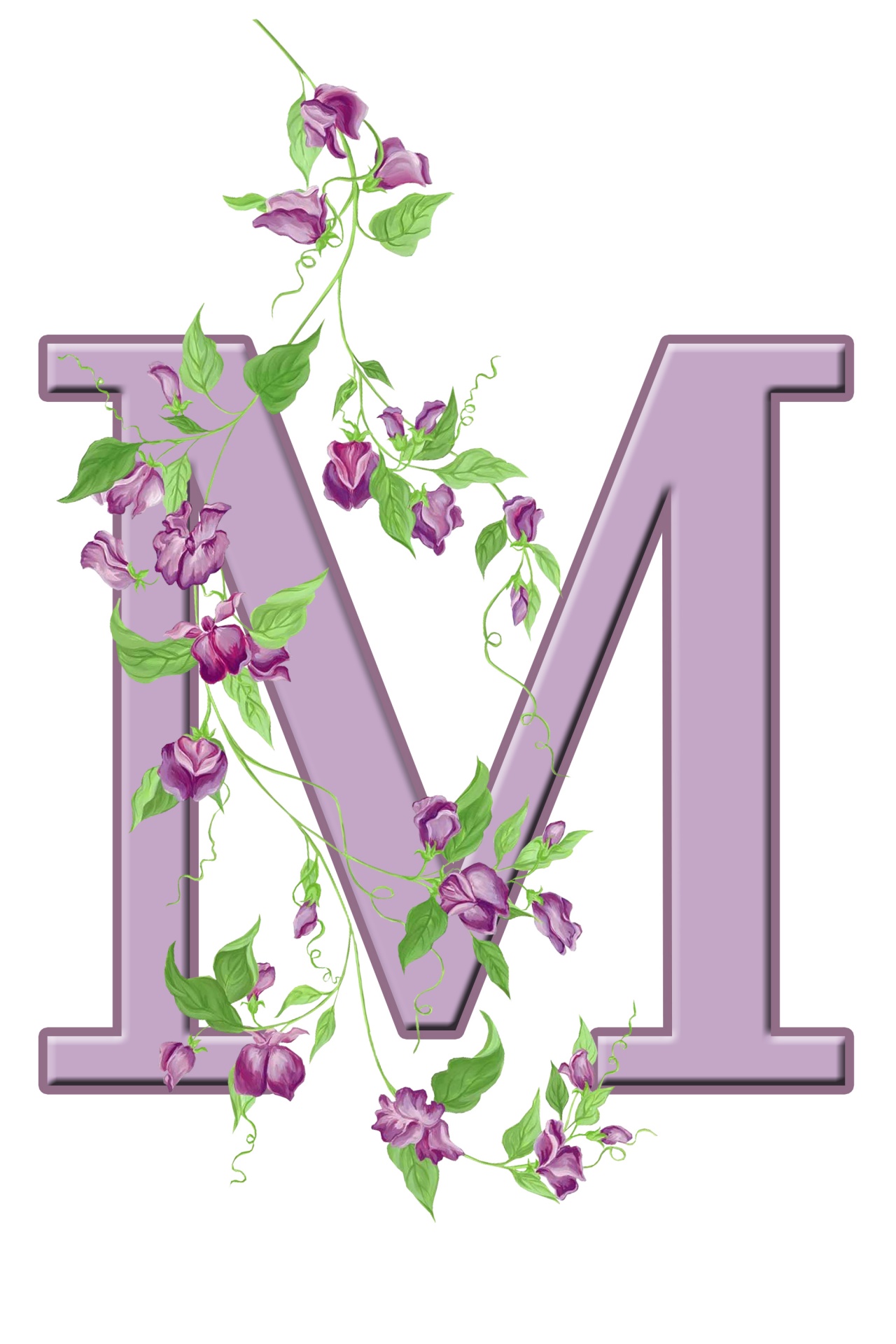 Letter M Floral Initial Free Stock Photo Public Domain Pictures