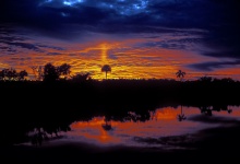 Everglades Sunrise