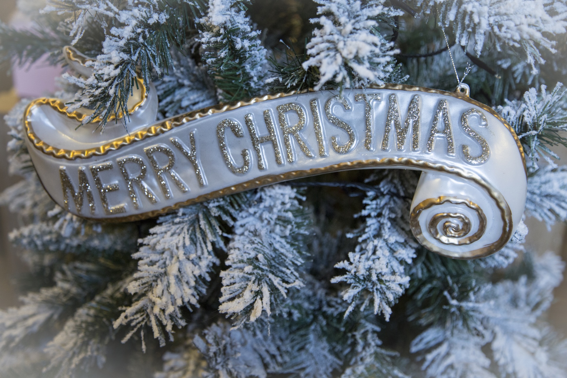 christmas-free-stock-photo-public-domain-pictures