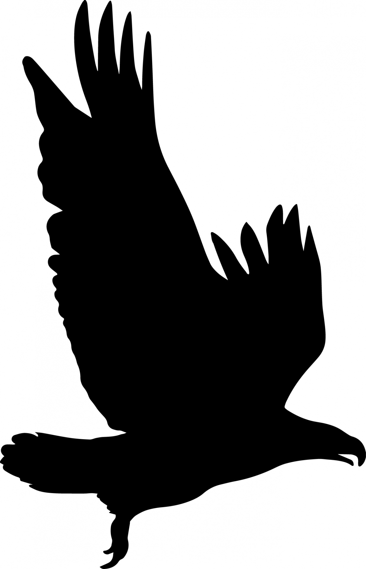 Eagle Silhouette Free Stock Photo - Public Domain Pictures