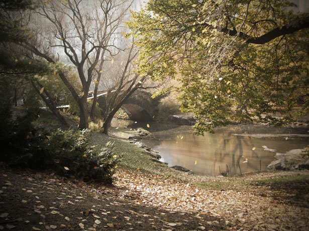 Central Park Central Park by rachael purdy 