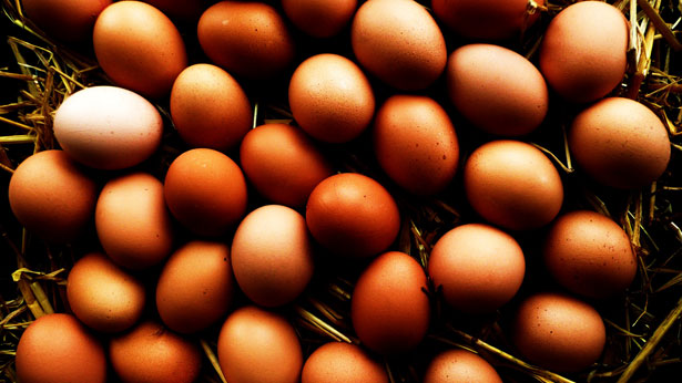egg, white, ecru, food, fresh, one, organic, raw, single