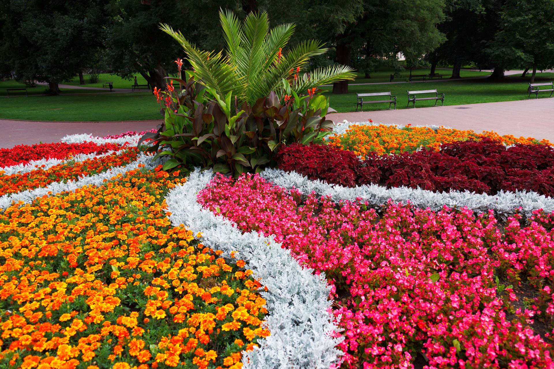 Flower Bed In The Park Free Stock Photo - Public Domain Pictures