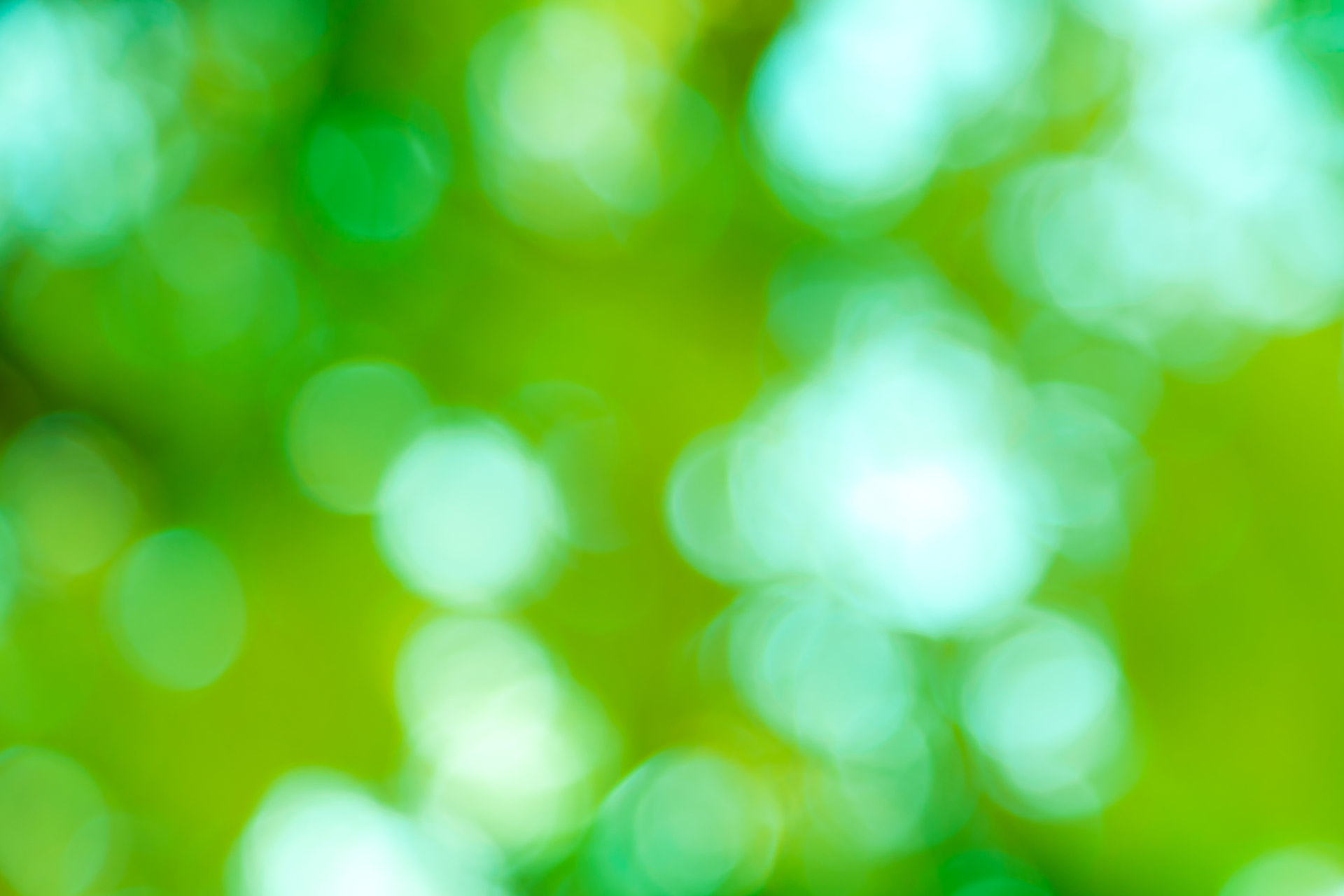Green Blurred Background Free Stock Photo - Public Domain ...