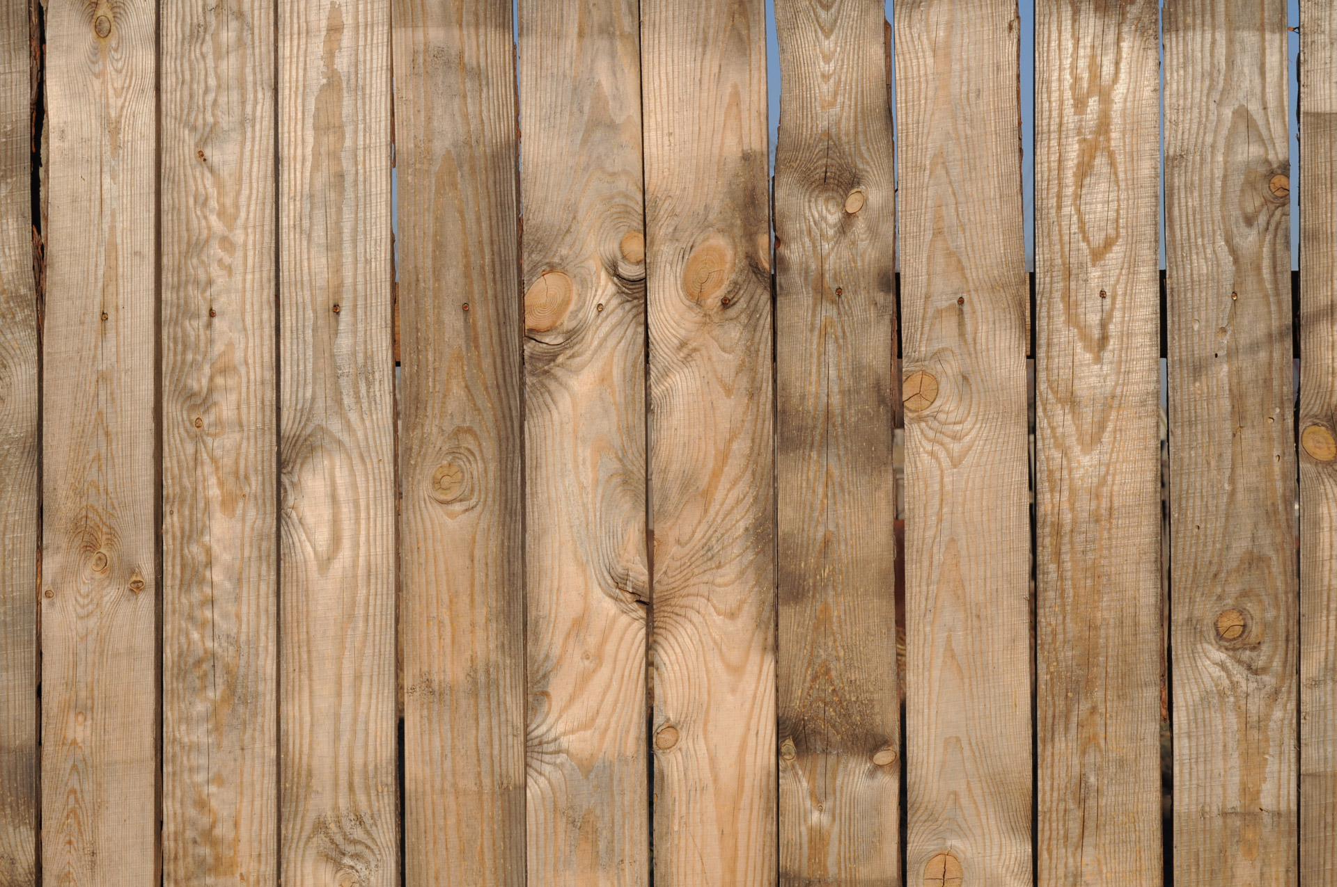 Wooden Fence Free Stock Photo - Public Domain Pictures