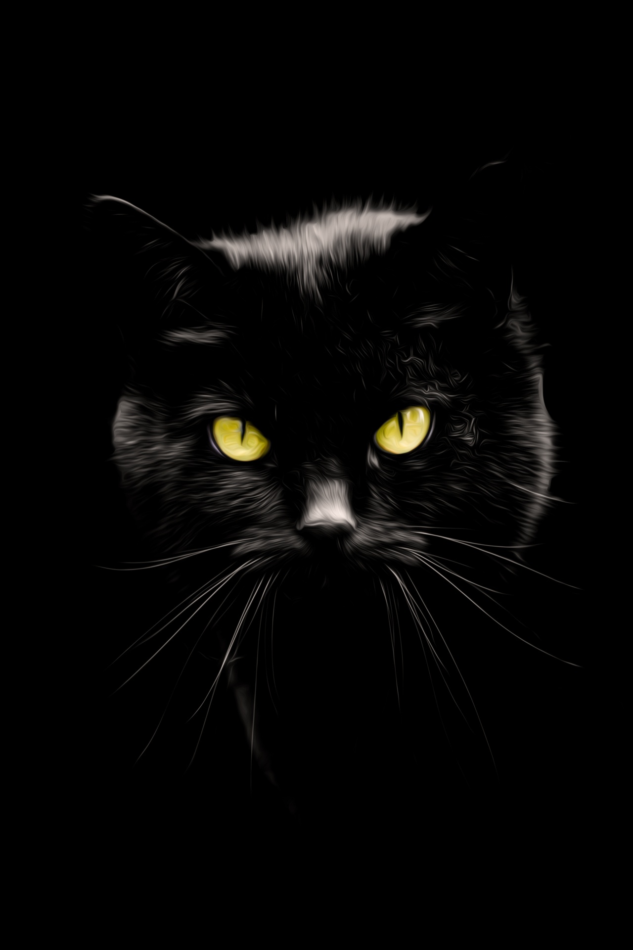 Black Cat, Oil Painting Free Stock Photo Public Domain