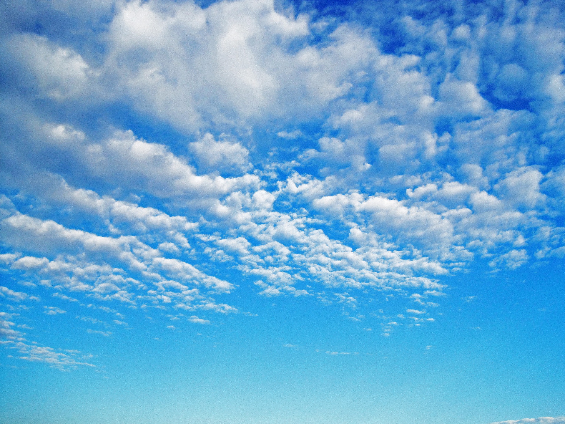 Bright Blue Sky With White Clouds Free Stock Photo - Public Domain Pictures
